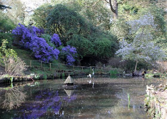 Ramster Gardens (7)